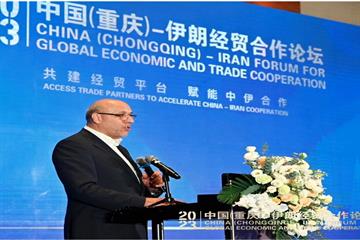 تشکری هاشمی در شورای توسعه تجارت بین الملل: همکاری تهران و چین برای حل مشکلات شهری و توسعه حمل و نقل عمومی